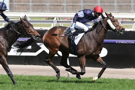 Melbourne Cup Betting 2024 [Racenet Best Bet Guide].